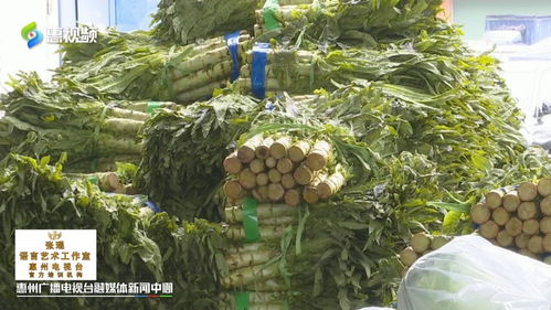 豬肉價連跌瘦肉每斤28元 本地蔬菜大量上市價格走低