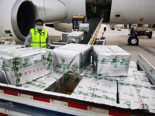 烏魯木齊國際機場國際貨運業(yè)務全面恢復運營