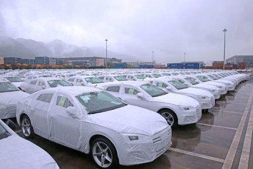 通道帶貿(mào)易 金融促發(fā)展,重慶國(guó)際物流樞紐園區(qū)展現(xiàn)內(nèi)陸開(kāi)放 新勢(shì)能